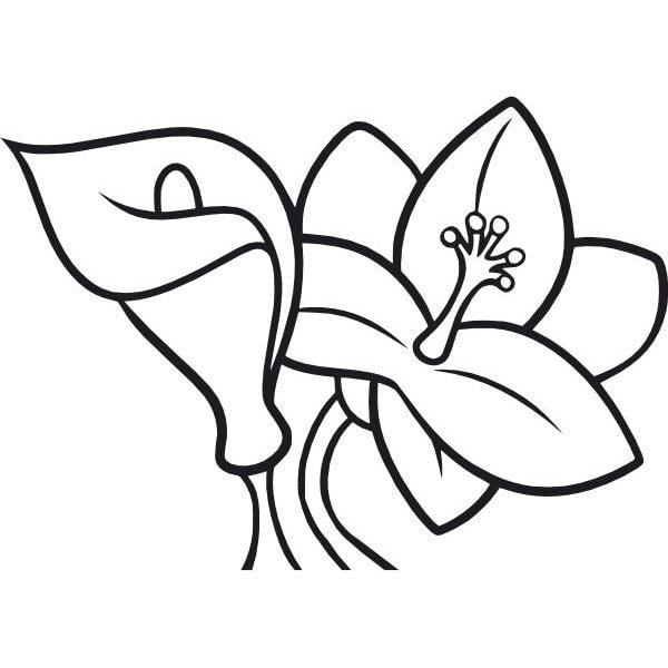 Kála és liliom homokkép sablon kontúrvonalakkal.