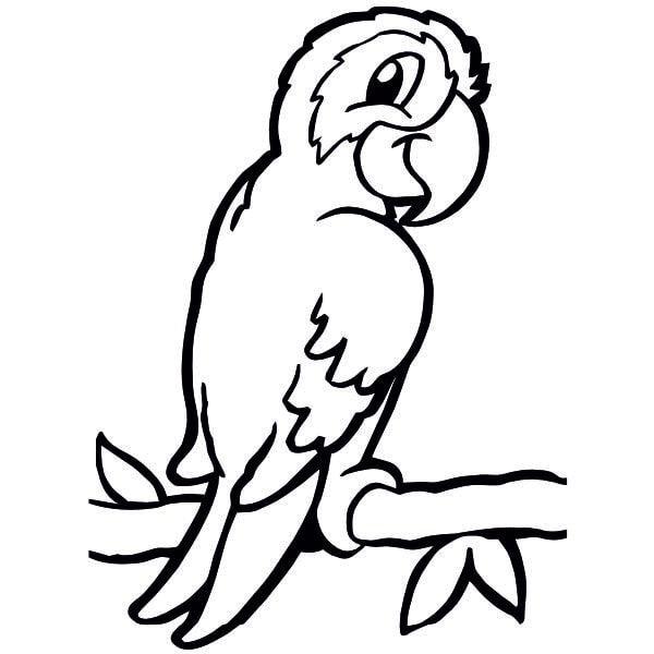 Papagáj homokkép körvonalas sablon.